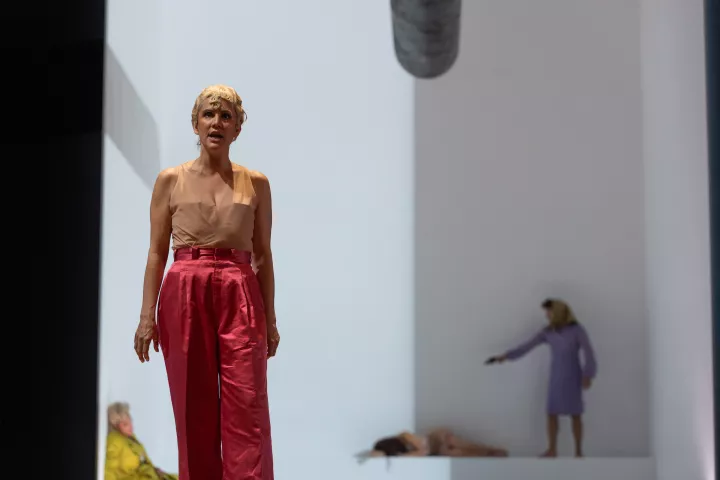 © Laurent Guizard © Laurent Guizard